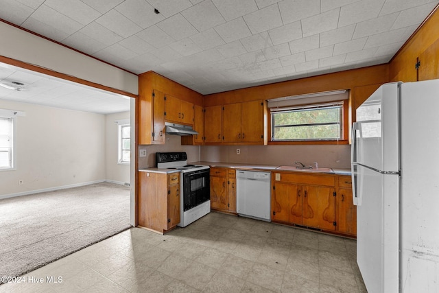 kitchen featuring white appliances, sink, and plenty of natural light