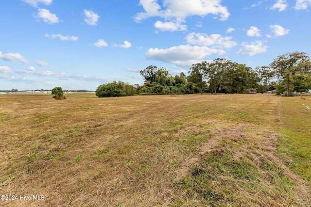 view of yard with a rural view