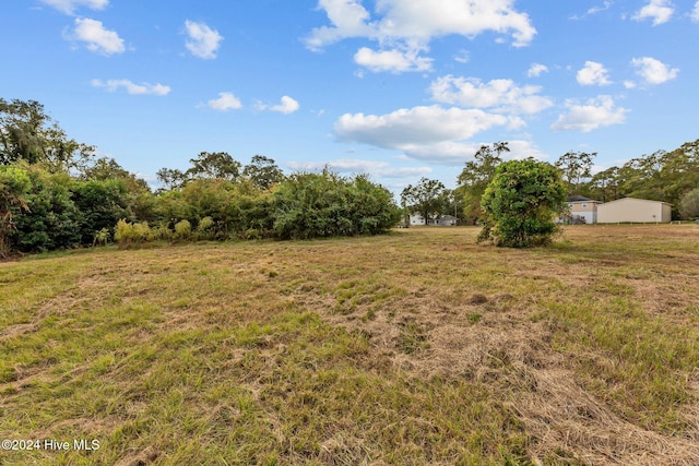 view of yard featuring a rural view