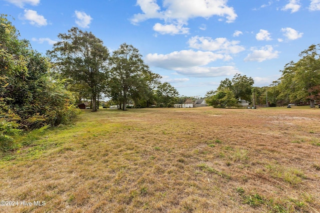 view of yard with a rural view