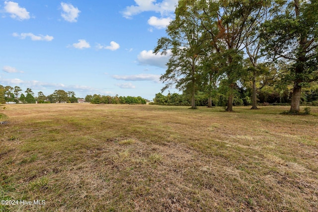 view of yard featuring a rural view