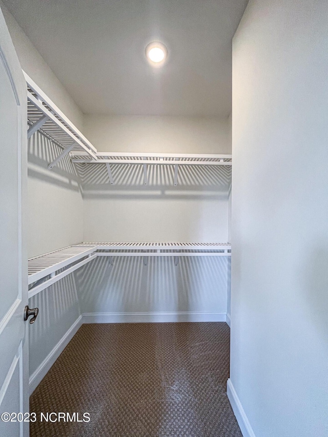 walk in closet featuring carpet flooring