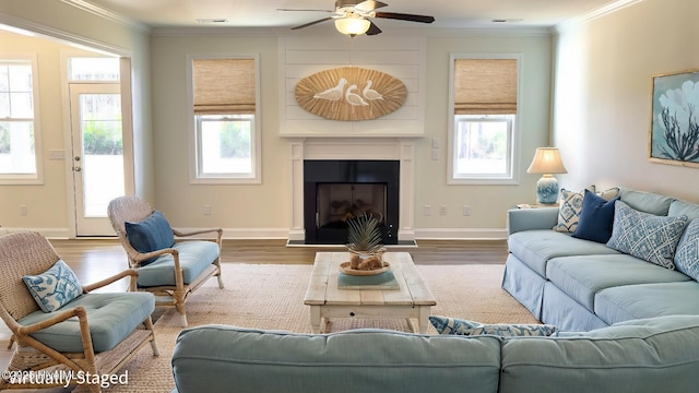 living room with wood-type flooring, ceiling fan, and crown molding