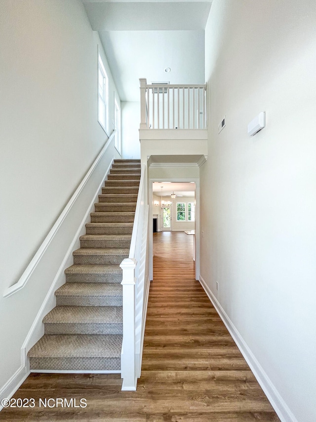 staircase with hardwood / wood-style floors