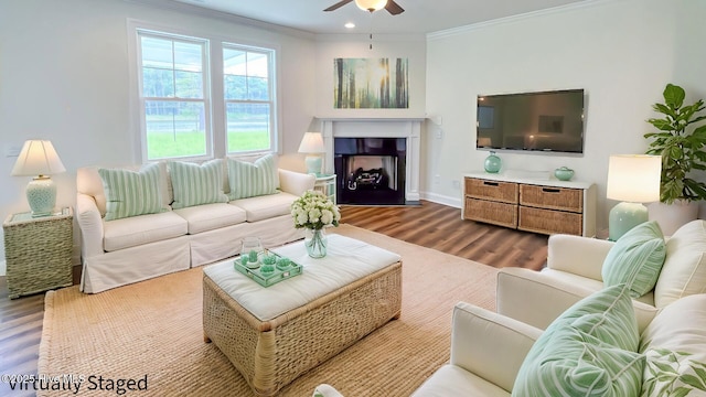 living room featuring ceiling fan, wood-type flooring, and crown molding