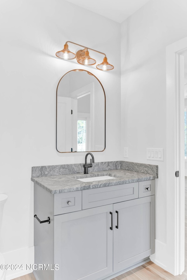 bathroom with vanity and hardwood / wood-style flooring