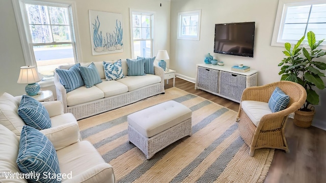 living room with hardwood / wood-style floors