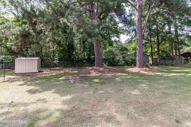 view of yard with a storage shed