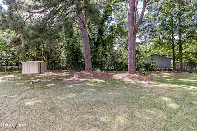 view of yard featuring a shed