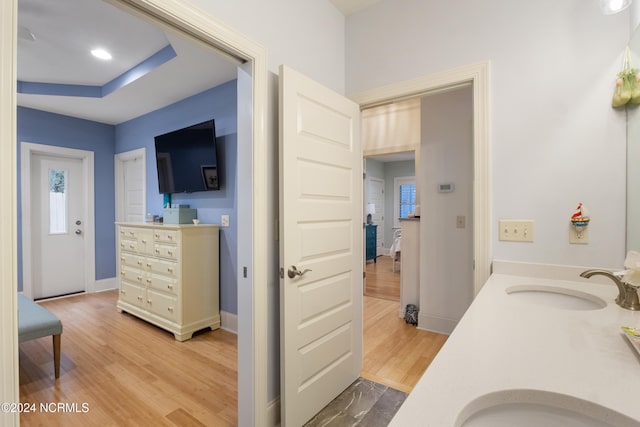 bathroom featuring vanity, hardwood / wood-style flooring, and plenty of natural light