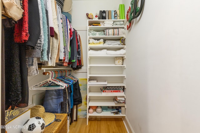 spacious closet featuring wood-type flooring