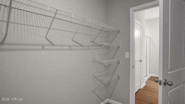 spacious closet featuring wood-type flooring