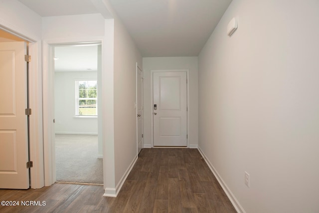 hall featuring dark hardwood / wood-style flooring