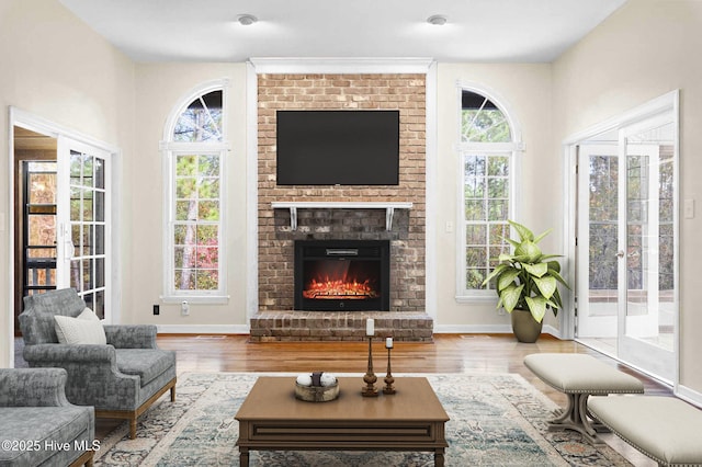 living room featuring a fireplace and hardwood / wood-style flooring