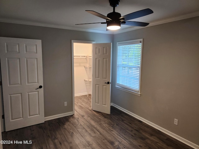 unfurnished bedroom featuring dark hardwood / wood-style flooring, ceiling fan, ornamental molding, a closet, and a walk in closet