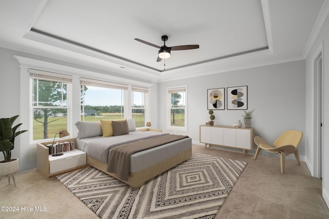 bedroom featuring carpet flooring, ceiling fan, a raised ceiling, and crown molding