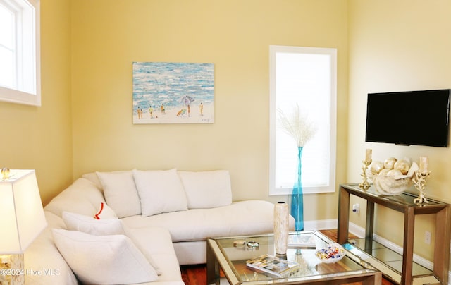 living room featuring hardwood / wood-style floors