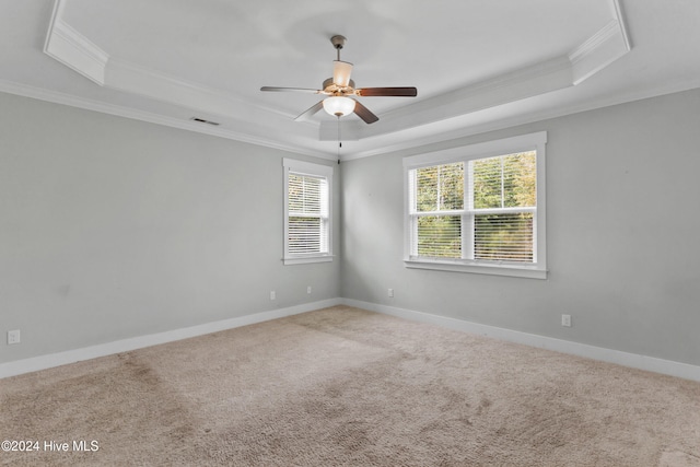 carpeted spare room with a raised ceiling, ceiling fan, and crown molding