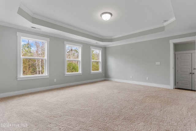 empty room with ornamental molding, a raised ceiling, and carpet flooring