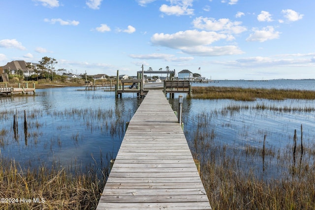 dock area with a water view