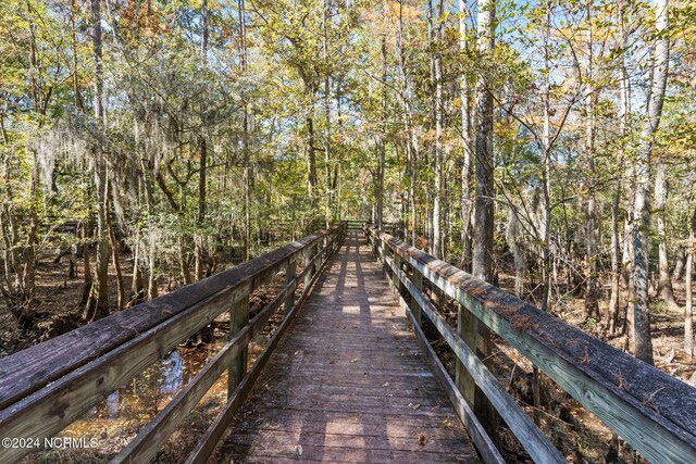 950 Main St, Fair Bluff, NC 28439 - surrounding community with a forest view