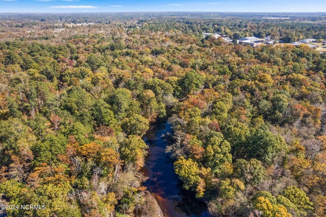 950 Main St, Fair Bluff, NC 28439 - aerial view of property and surrounding area with a forest