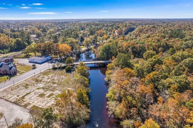 950 Main St, Fair Bluff, NC 28439 - bird's eye view of a notable bridge, a heavily wooded area, and a large body of water