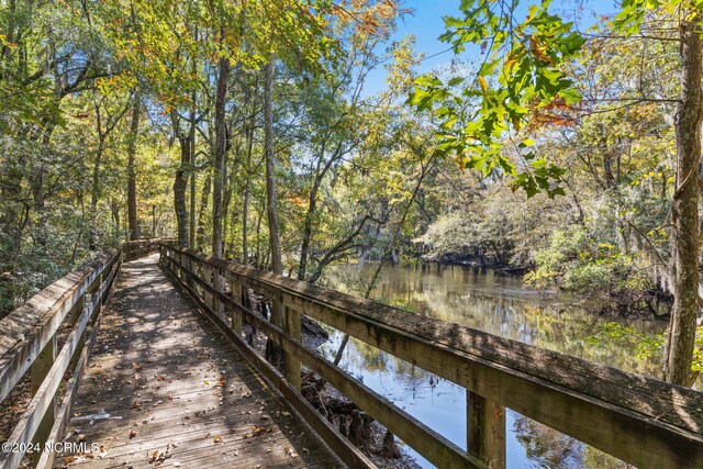950 Main St, Fair Bluff, NC 28439 - dock area with a water view