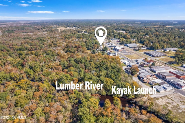 950 Main St, Fair Bluff, NC 28439 - bird's eye view of a heavily wooded area