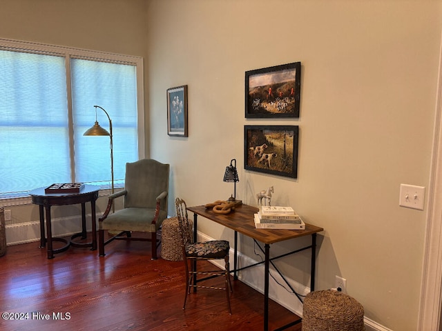 living area with dark hardwood / wood-style floors