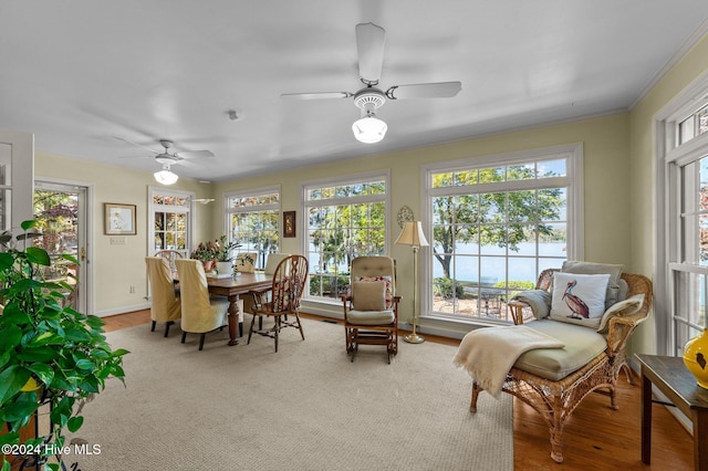 sunroom / solarium featuring ceiling fan