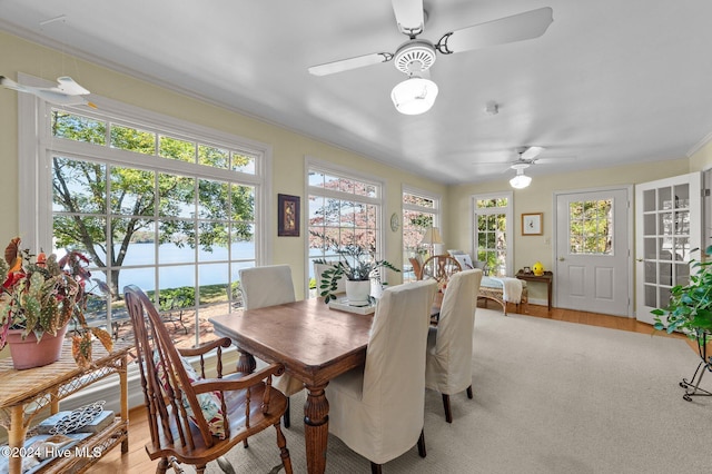 dining room featuring a water view, ornamental molding, light hardwood / wood-style flooring, and plenty of natural light