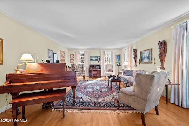 living room with ornamental molding and light hardwood / wood-style flooring