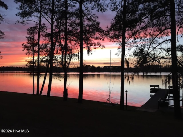 water view featuring a dock