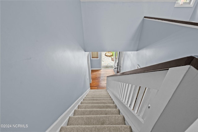 staircase featuring hardwood / wood-style floors