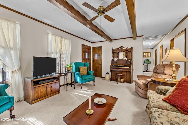 carpeted living room with ceiling fan, beam ceiling, a textured ceiling, and crown molding