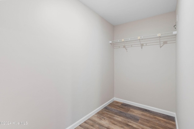 walk in closet featuring dark hardwood / wood-style flooring