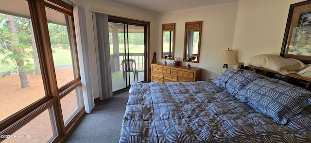 bedroom featuring dark colored carpet and access to exterior