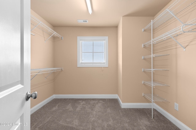 spacious closet featuring carpet floors