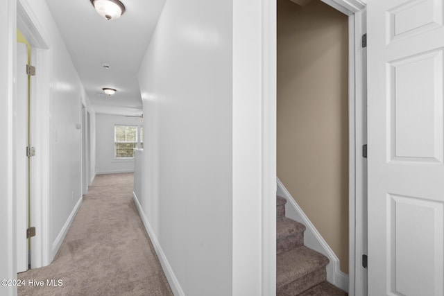 corridor with light colored carpet