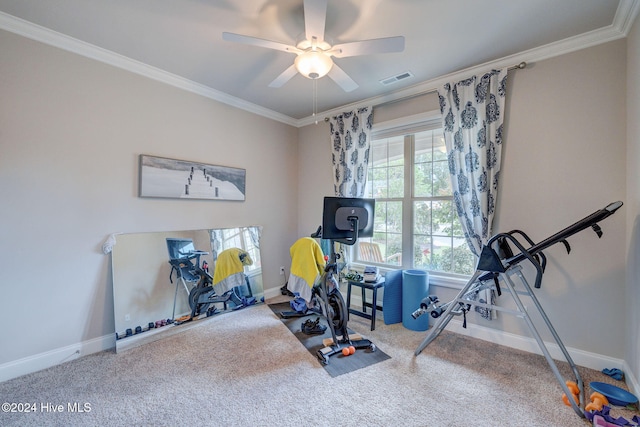 workout area featuring ceiling fan, carpet, and ornamental molding