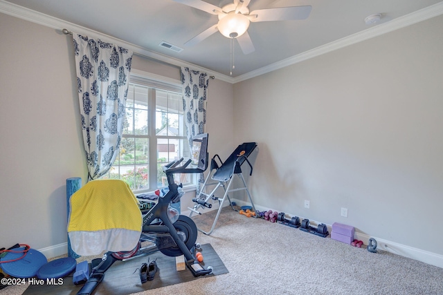 workout area with carpet flooring, ceiling fan, and crown molding