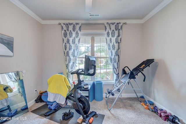 workout area featuring crown molding and carpet floors