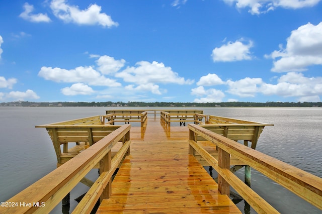 dock area with a water view