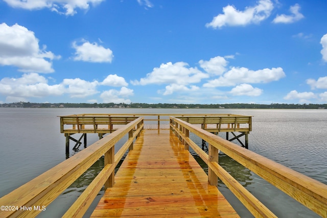 dock area featuring a water view