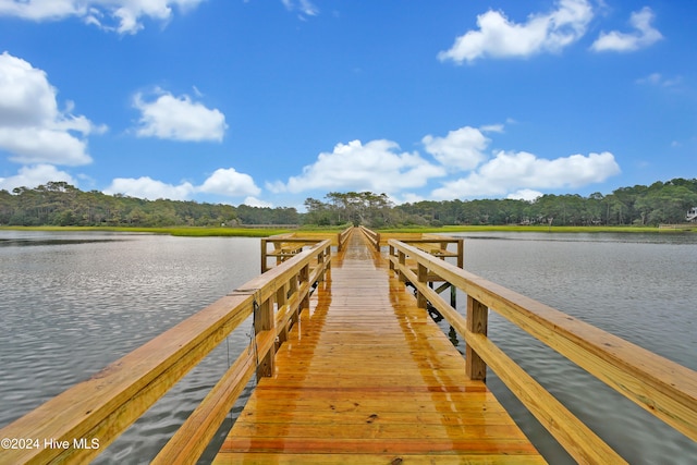 dock area featuring a water view