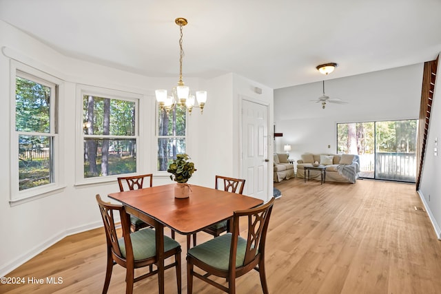 dining space with light hardwood / wood-style floors and ceiling fan with notable chandelier