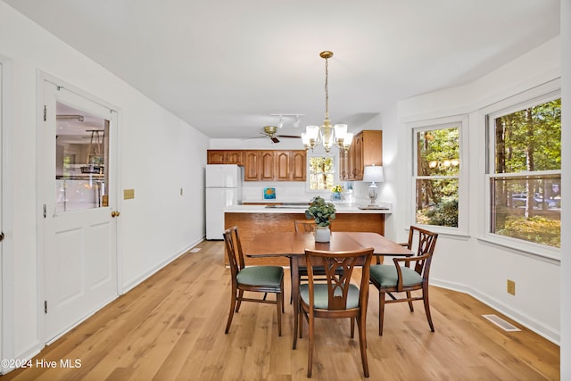 dining room featuring light hardwood / wood-style flooring and ceiling fan with notable chandelier