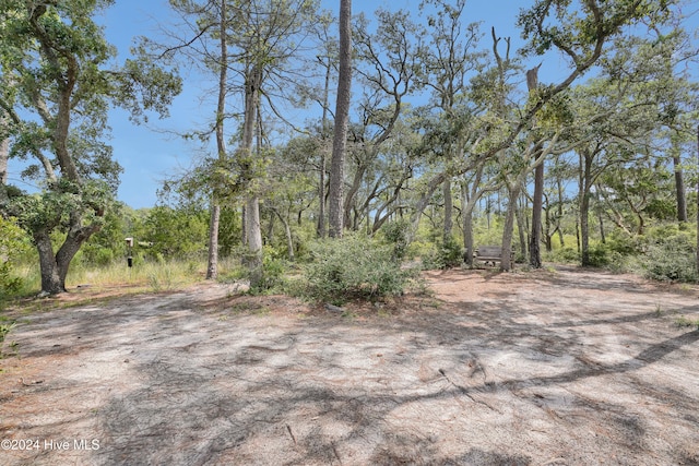 view of local wilderness