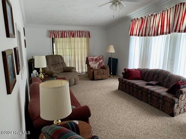 106 Summer Place Ln, Merry Hill, NC 27957 - carpeted living area with healthy amount of natural light, ornamental molding, and ceiling fan